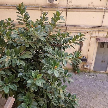 那不勒斯站住宿加早餐旅馆 外观 照片