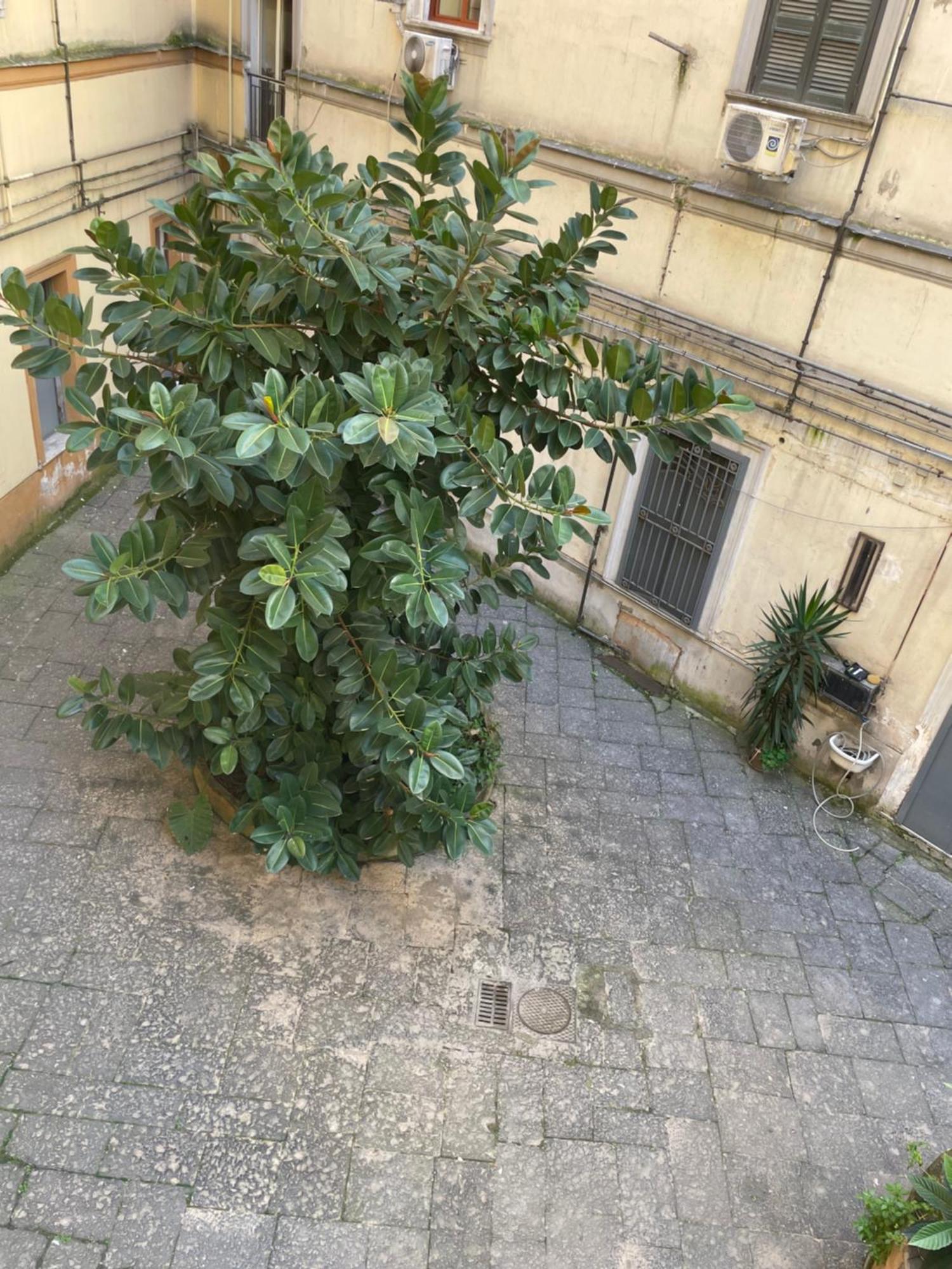 那不勒斯站住宿加早餐旅馆 外观 照片